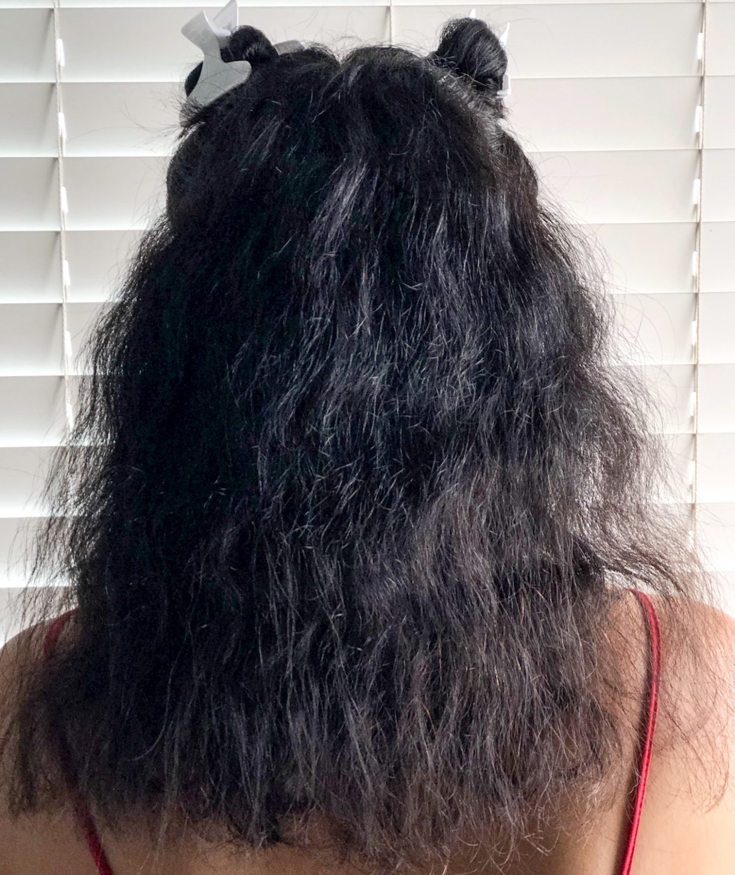 PICTORIAL: How I Defrizz my hair with Lubricity Labs | The Dressy Chick